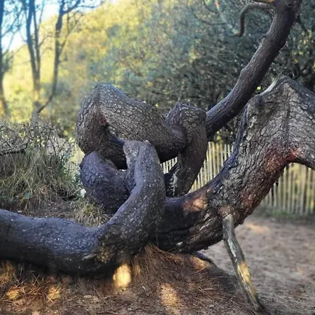 La Terrasse Du Golf شقة *