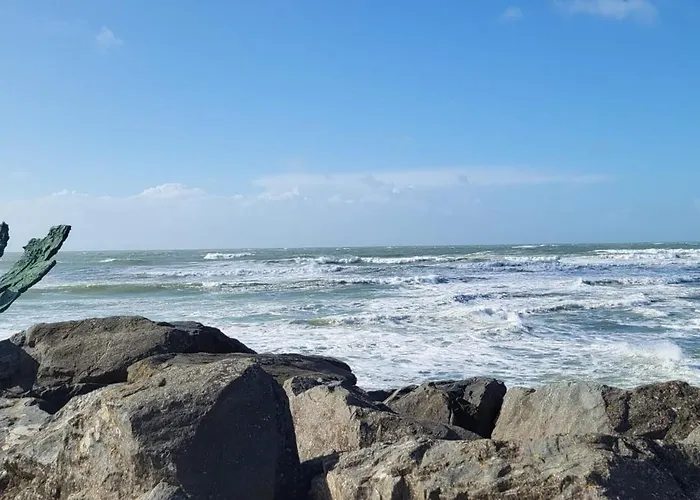 La Terrasse Du Golf *